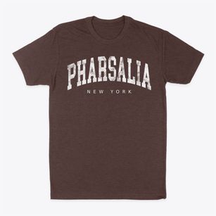 Pharsalia New York Urban Vibe Classic Dad T-Shirt