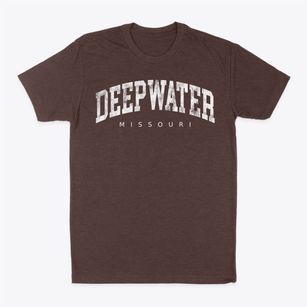 Deepwater Missouri Urban Vibe Classic Dad T-Shirt
