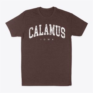 Calamus Iowa Urban Vibe Classic Dad T-Shirt