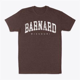 Barnard Missouri Urban Vibe Classic Dad T-Shirt