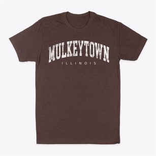 Mulkeytown Illinois Urban Vibe Classic Dad T-Shirt