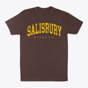 Salisbury Missouri Urban Vibe Classic Dad T-Shirt