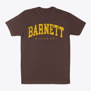 Barnett Missouri Urban Vibe Classic Dad T-Shirt