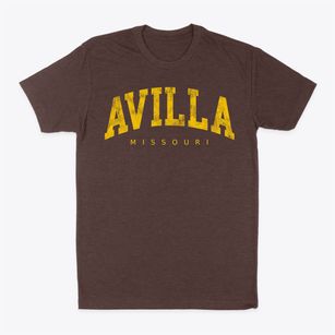Avilla Missouri Urban Vibe Classic Dad T-Shirt