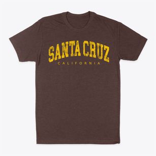 Santa Cruz California Urban Vibe Classic Dad T-Shirt