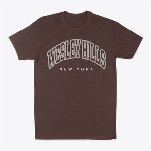 Wesley Hills New York Inline Classic Dad T-Shirt