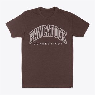 Pawcatuck Connecticut Inline Classic Dad T-Shirt