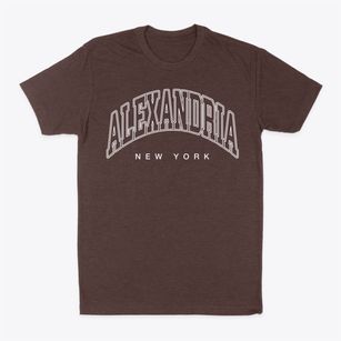 Alexandria New York Inline Classic Dad T-Shirt