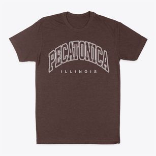 Pecatonica Illinois Inline Classic Dad T-Shirt