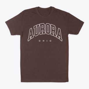 Aurora Ohio Inline Classic Dad T-Shirt