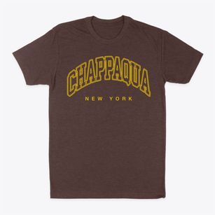 Chappaqua New York Inline Classic Dad T-Shirt
