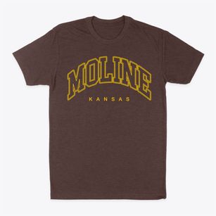 Moline Kansas Inline Classic Dad T-Shirt