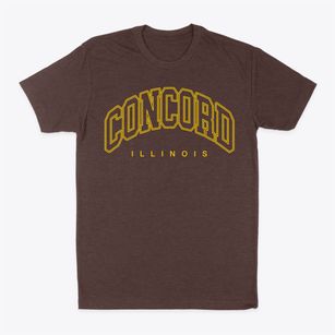 Concord Illinois Inline Classic Dad T-Shirt