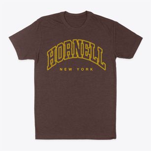 Hornell New York Inline Classic Dad T-Shirt