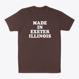 Exeter Illinois Classic 70s Classic Dad T-Shirt
