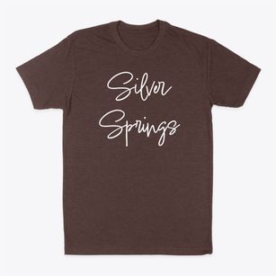 Silver Springs New York Freestyle Classic Dad T-Shirt
