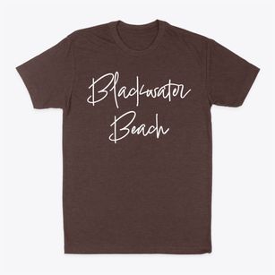 Blackwater Beach Delaware Freestyle Classic Dad T-Shirt