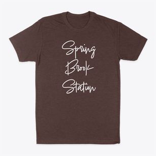 Spring Brook Station New York Freestyle Classic Dad T-Shirt