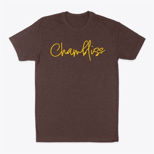 Chambliss Georgia Freestyle Classic Dad T-Shirt