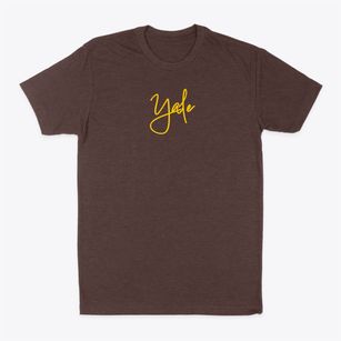 Yale Illinois Freestyle Classic Dad T-Shirt