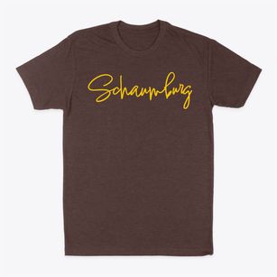 Schaumburg Illinois Freestyle Classic Dad T-Shirt