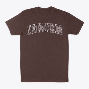  New Hampshire Trendy State Classic Dad T-Shirt