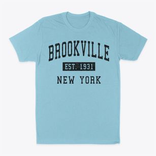Brookville New York Classic Established Classic Dad T-Shirt