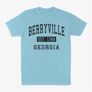 Berryville Georgia Classic Established Classic Dad T-Shirt