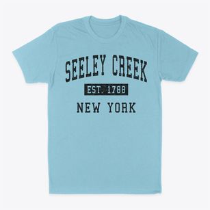 Seeley Creek New York Classic Established Classic Dad T-Shirt