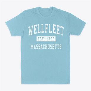 Wellfleet Massachusetts Classic Established Classic Dad T-Shirt