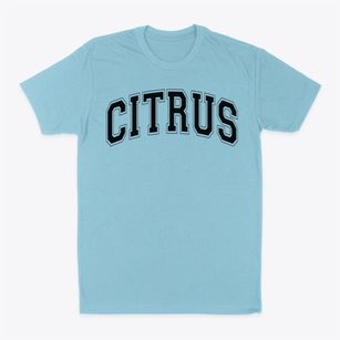 Citrus Elementary School Varsity Arch Classic Dad T-Shirt