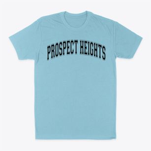 Prospect Heights High School Varsity Arch Classic Dad T-Shirt