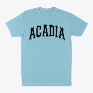 Acadia School Varsity Arch Classic Dad T-Shirt