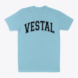 Vestal Elementary School Varsity Arch Classic Dad T-Shirt