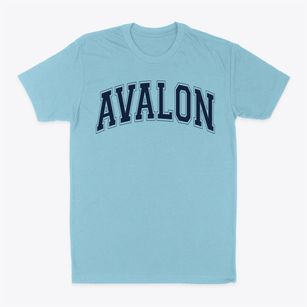 Avalon Elementary School Varsity Arch Classic Dad T-Shirt