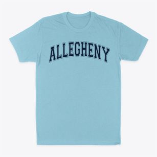Allegheny Middle School Varsity Arch Classic Dad T-Shirt