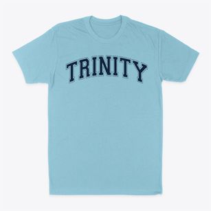 Trinity Christian Varsity Arch Classic Dad T-Shirt