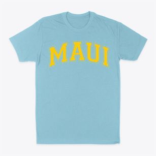 Maui Christian Academy Varsity Arch Classic Dad T-Shirt