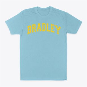 Bradley Academy Of Excellence Varsity Arch Classic Dad T-Shirt