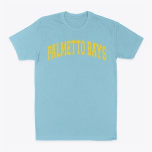 Palmetto Bays Elementary School Varsity Arch Classic Dad T-Shirt