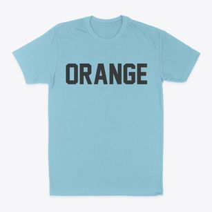 Orange Ohio Classic Block Classic Dad T-Shirt