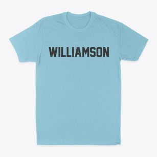 Williamson Illinois Classic Block Classic Dad T-Shirt