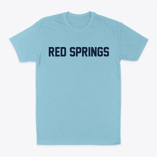 Red Springs North Carolina Classic Block Classic Dad T-Shirt