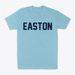 Easton New York Classic Block Classic Dad T-Shirt