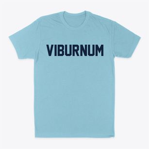 Viburnum Missouri Classic Block Classic Dad T-Shirt