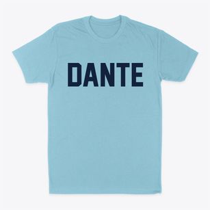 Dante Virginia Classic Block Classic Dad T-Shirt