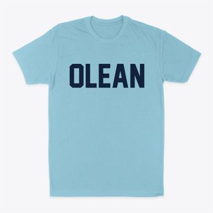 Olean New York Classic Block Classic Dad T-Shirt