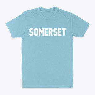 Somerset New York Classic Block Classic Dad T-Shirt