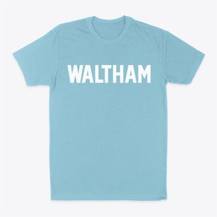 Waltham Maine Classic Block Classic Dad T-Shirt