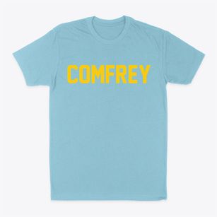 Comfrey Minnesota Classic Block Classic Dad T-Shirt